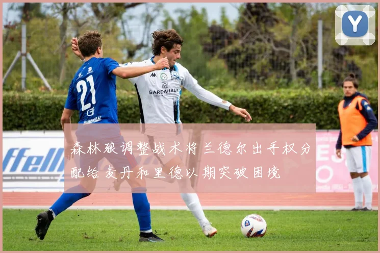 森林狼调整战术将兰德尔出手权分配给麦丹和里德以期突破困境