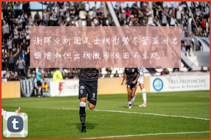 谢晖分析国足出线形势尽管亚洲名额增加但出线概率依旧不乐观