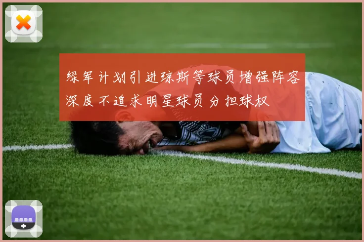 绿军计划引进琼斯等球员增强阵容深度不追求明星球员分担球权
