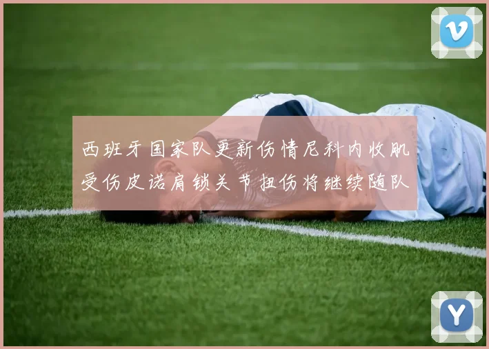 西班牙国家队更新伤情尼科内收肌受伤皮诺肩锁关节扭伤将继续随队训练